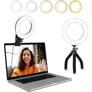 Video Conference Lighting Kit, Ring Light Clip on Laptop  with 5 Dimmable Color & 5 Brightness Level for Webcam Lighting/Zoom Lighting/Remote Working/Self Broadcasting and Live Streaming, etc.
