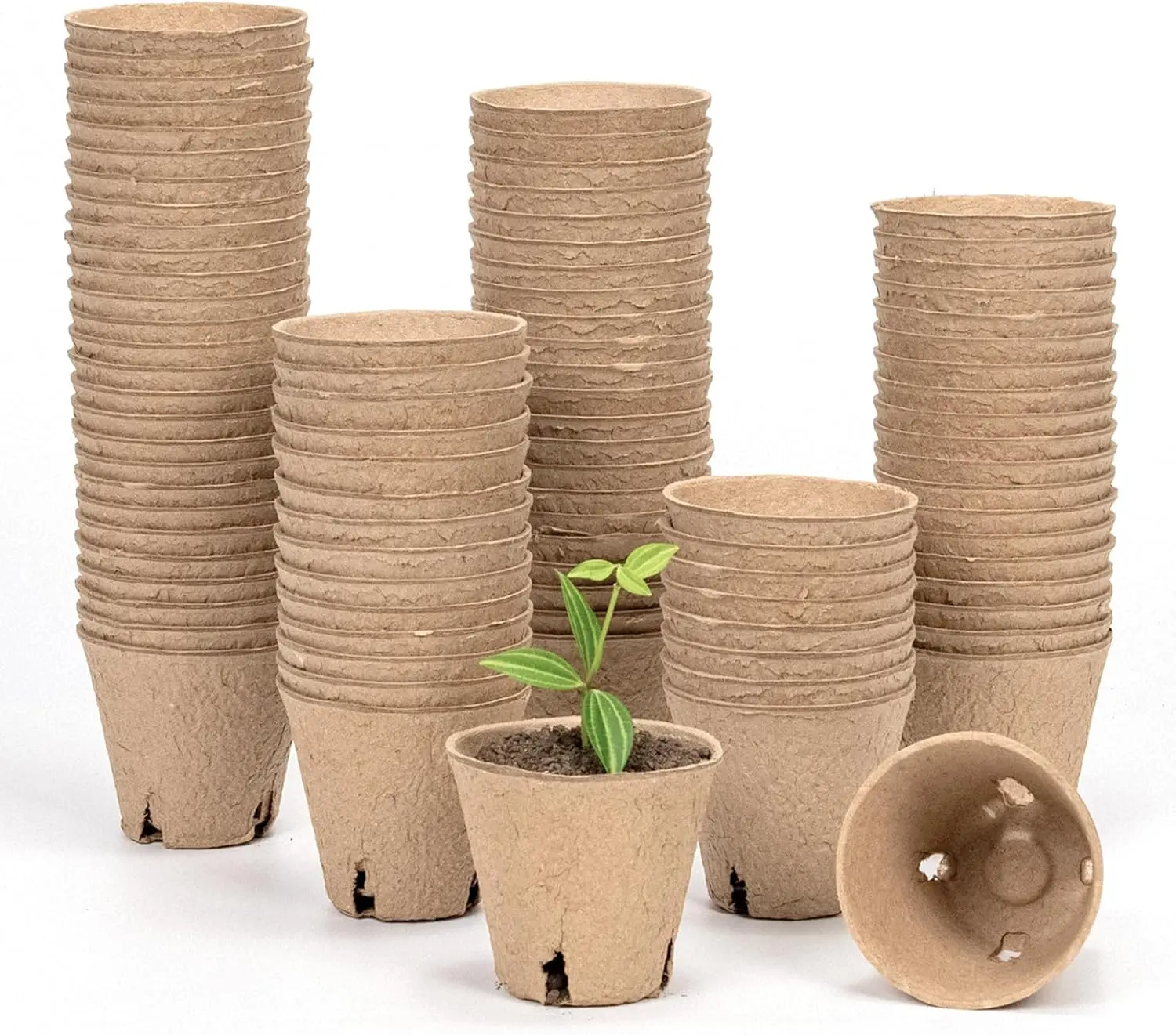Bamworld 3" Biodegradable Plant Pots with Drainage, 100 Pcs – Eco-Friendly Nursery Containers for Seedlings, Indoor Plants, Propagation & Germination