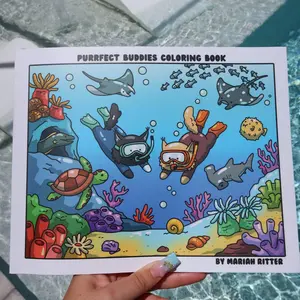 Purrfect Buddies Summer Adventures