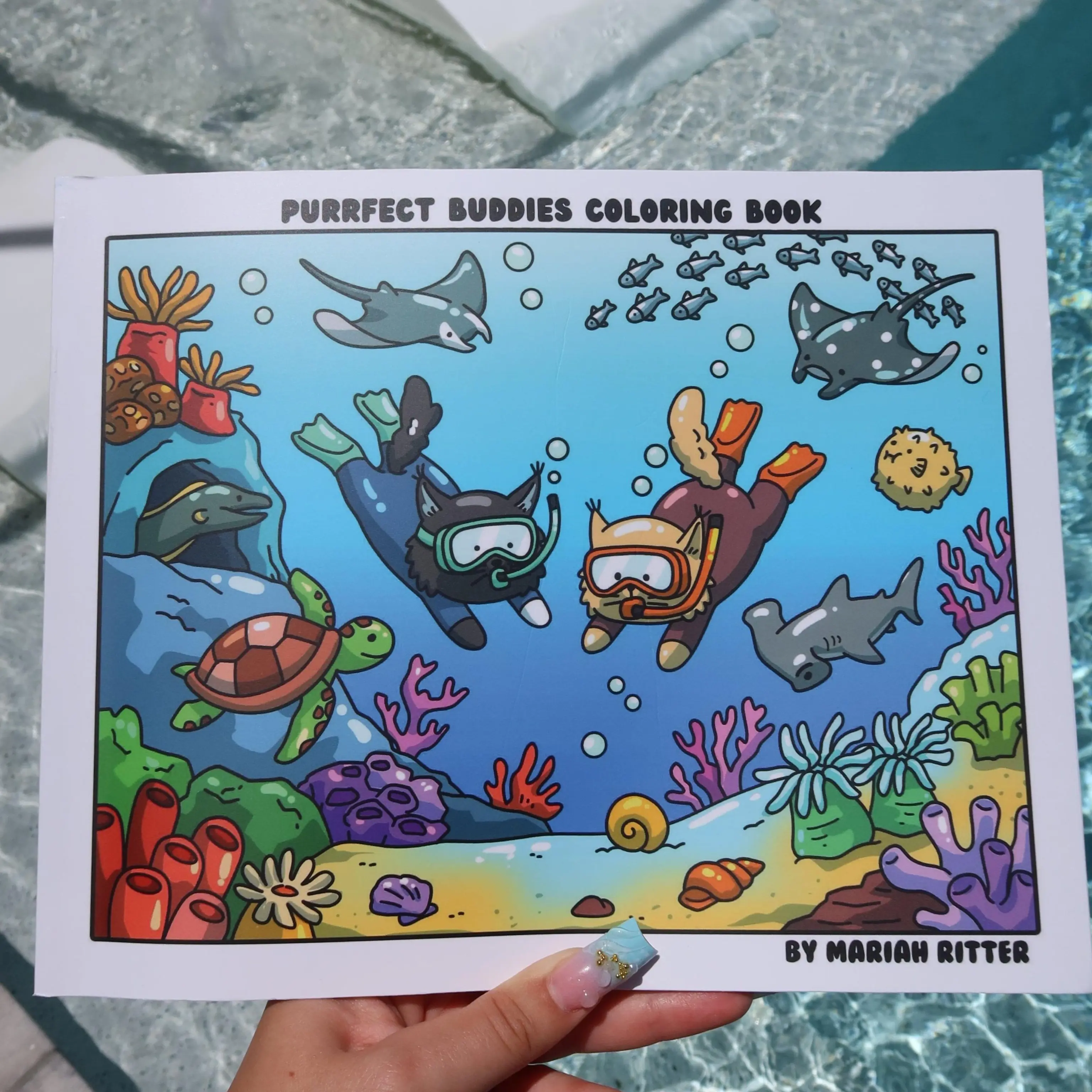 Purrfect Buddies Summer Adventures