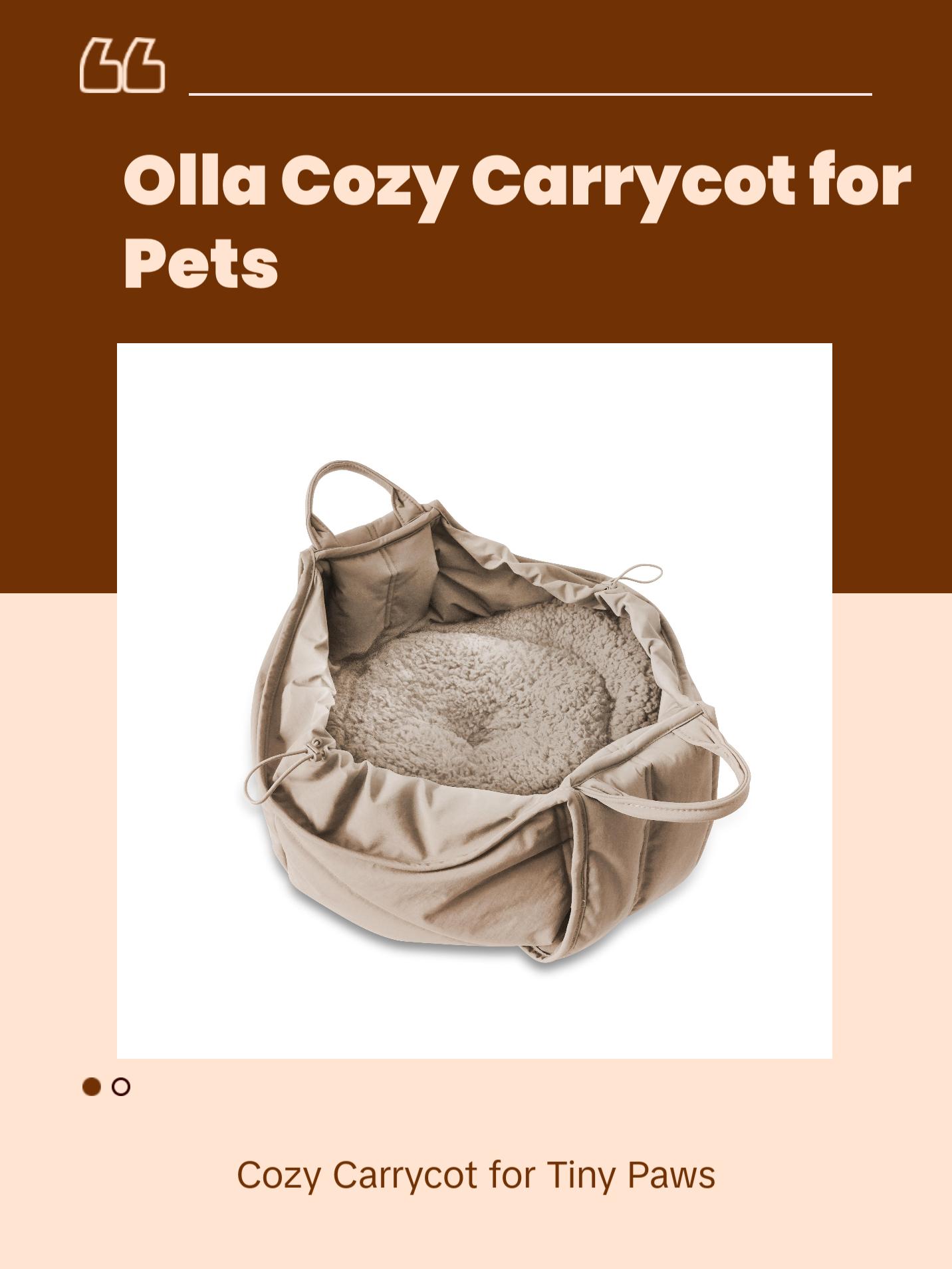 OLLA OLLA