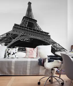 Eiffel Tower Photograph Wall Mural - Peel and Stick Wallpaper