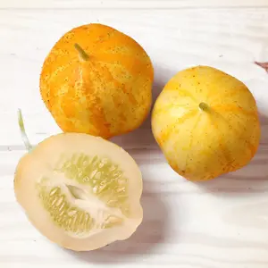 50 Lemon Cucumber Seeds - Non GMO Heirloom Home Garden Plants, Seeds & Bulbs - Vegetable Seeds Gifts - Plant Seeds for Lemons Cucumber Fresh Seeds greenhouse seed need raised  garden  beds