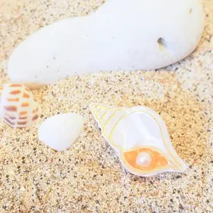 Mini Banded Tulip Seashell Hair Claw