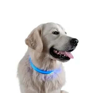 LED Pet Collar for Night Walks - Perfect for Dogs and Cats dog collar