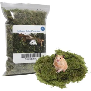 5L Forest Moss for Hamster Syrian Gerbils Bedding,  Moss  for Potted , Terrariums, Reptile Tanks and Live  Projects