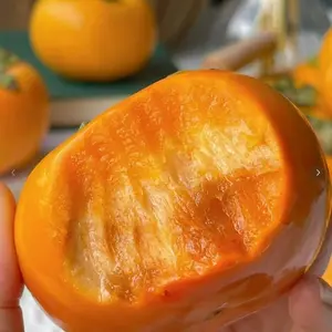 Chocolate Persimmon Seeds, Sweet Crisp Fruit Tree, High Germination Rate, Easy to Grow, Non-GMO, Suitable for Indoor Outdoor Garden