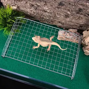 Reptile Hideout Basking Platform for Turtle Lizard Amphibian Cooling Shelf Large Pet Summer Vibes Control Automatic Petlovers Pet Box Decoration