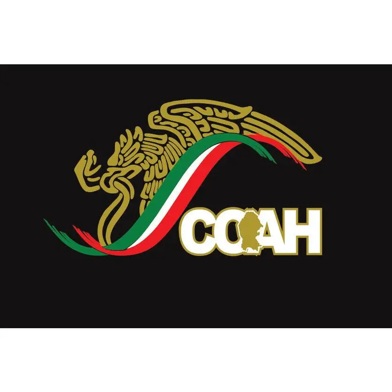 Mexico Eagle Coahuila Sticker | Car window vinyl sticker decal Gobierno de Mex. Mexico Aguila logo Mexican Flag COAH Trokiando Trokas decal