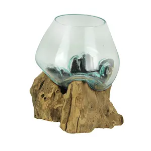 7in Glass & Driftwood Centerpiece Bowl - Handcrafted for Earthy Displays