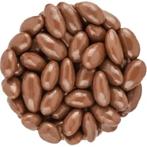 Milk Chocolate Covered Almonds Milk Chocolate Covered Almonds