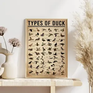 Types of Duck Educational Poster, Vintage Bird Identification Chart, Ornithology Art Print for Nature Lovers, Rustic Hunting Decor