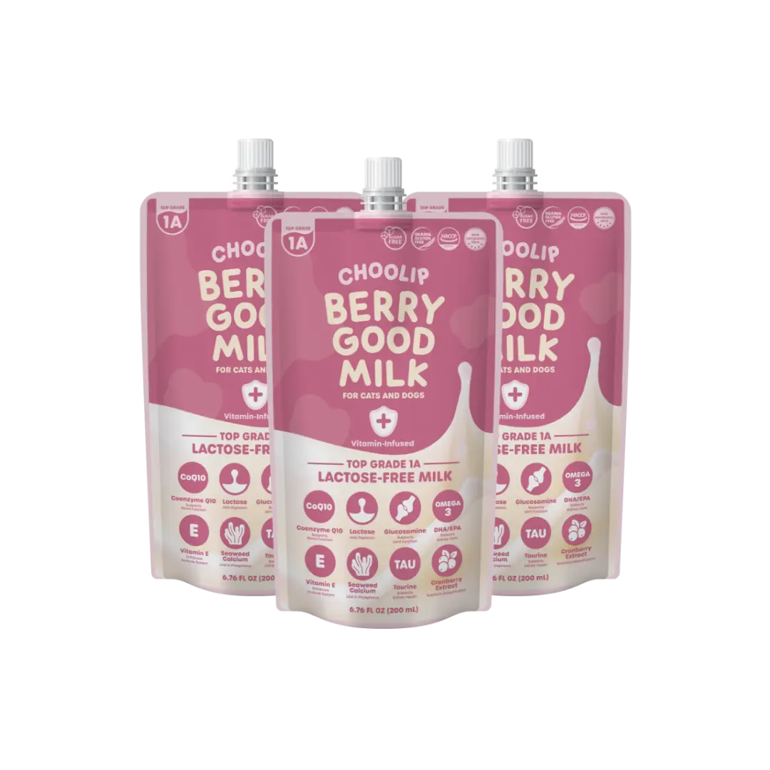 choolip Berry Good Pet Milk (3 Pack) – Hydrating Milk Treat for Dogs & Cats, Picky Eaters & Daily Wellness, Lactose Free Milk Supplement (200ml x3)