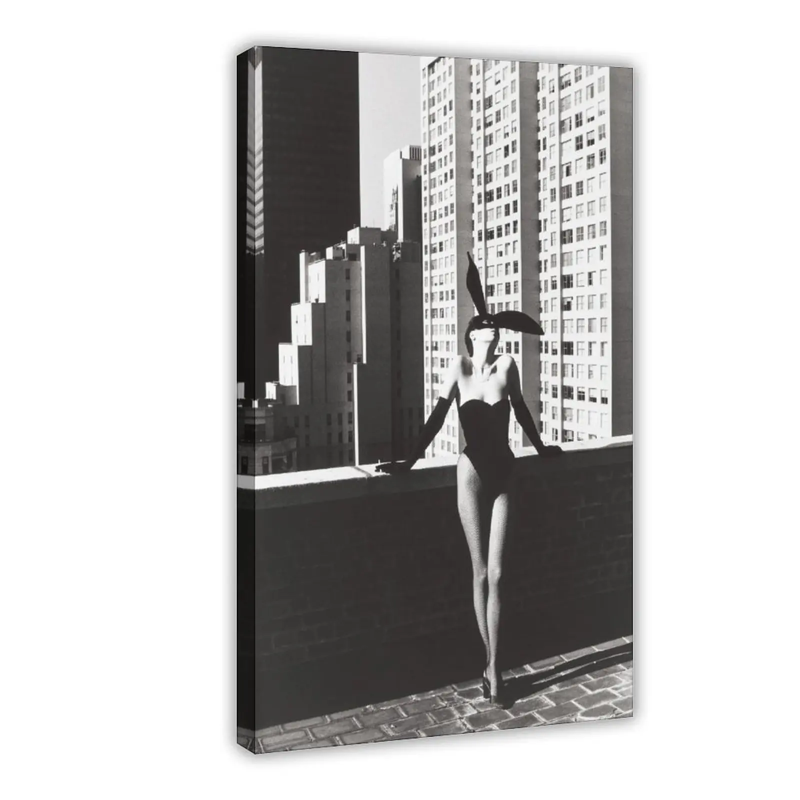 Sunshine Girl Bikini Sexy Hot Girl Poster 6 bedroom canvas posters, hall wall art, bathroom canvas posters, home poster decoration