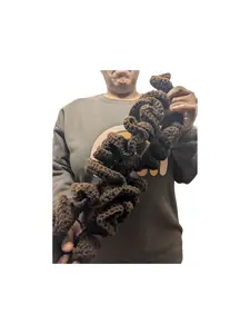 Crochet Headband with Regular Sized Ruffles