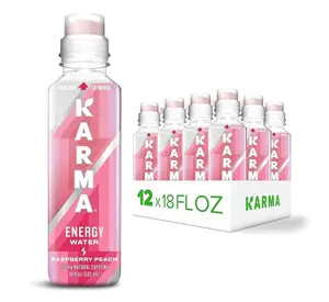 Karma Energy Drink – 12 Pack, Raspberry Peach Caffeinated Water with Cognizin Nootropics, Vitamins & Immune Support, Low Calorie
