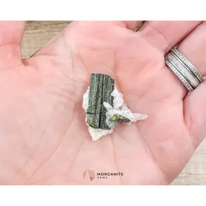 Epidote Crystal with Quartz – Natural Specimen in Clear Display Case 2g (29×29×13 mm) – Capelinha, Minas Gerais, Brazil