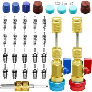 31Pcs R134A Valve Remover Installer Tool Kit, High Low Pressure Valve Quick Removal Tool Comes with AC Service Port Cap R134A Valve Valve Stem for Refrigerant Air Conditioner SystemXXBloop210