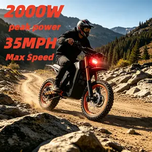 M01 Electric Bike 2000W Peak Power 35 mph Max Speed 20 Miles Range 48V 20.8Ah with 40° Slope Climbing Dual Braking System