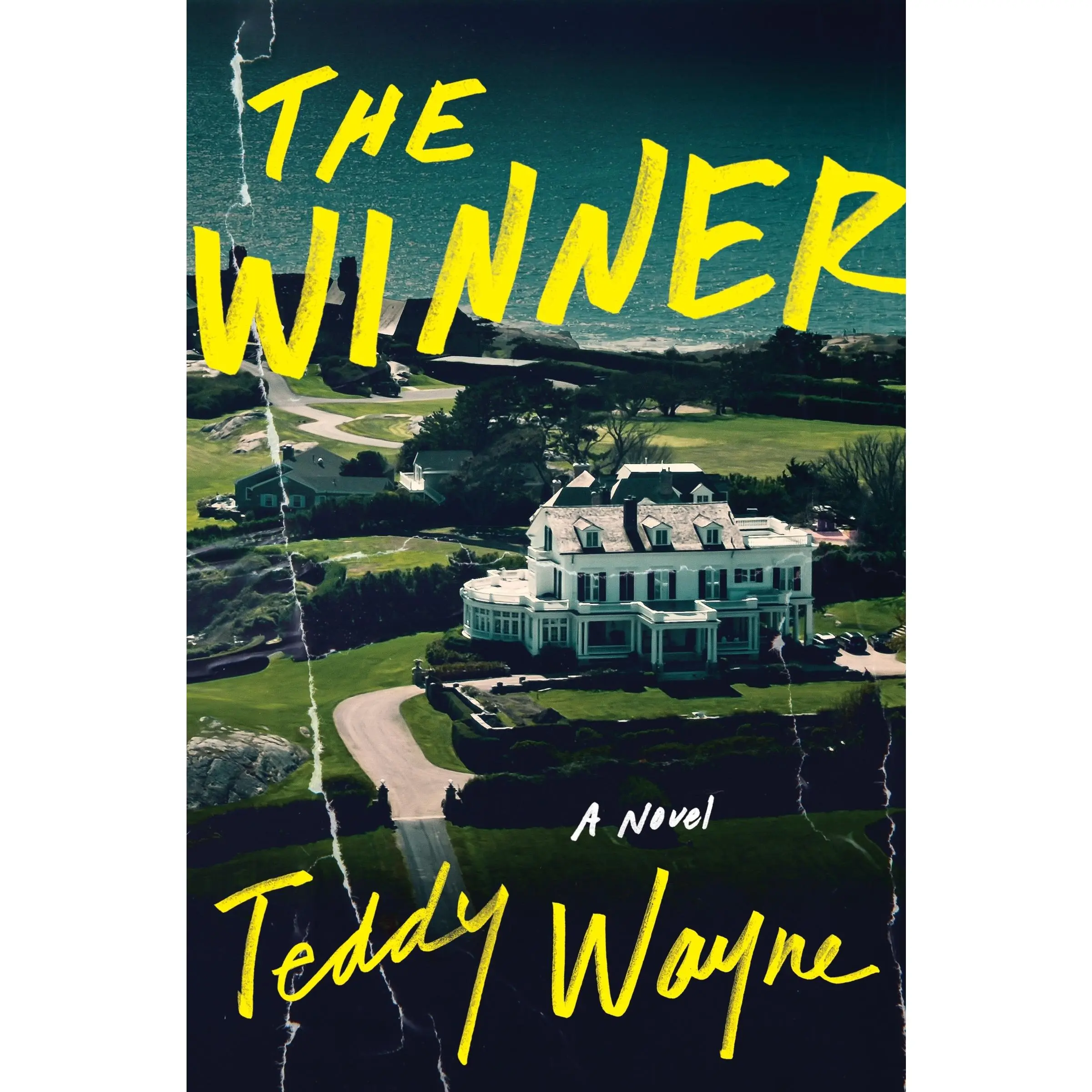 The Winner: A Novel by Teddy Wayne [Hardback Book]