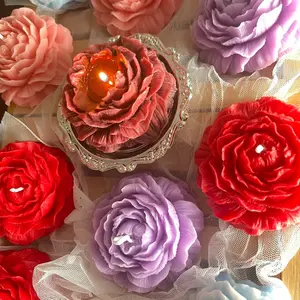 Low Temp Wax Play Candle Saturday bookish farmhouse gift decoration fragrance proposal small business lver candles Scented Anniversary original espresso handmade Rose Pink