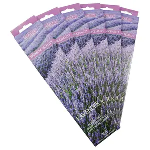 Hosley 240 Pack of Incense Sticks - Variety of Scents Available - Aromatherapy - Fragrance - Lavender, Eucalyptus, Bamboo, Cherry, Coconut, Sage & Citrus, Strawberry, and More!