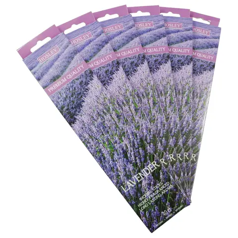 Hosley 240 Pack of Incense Sticks - Variety of Scents Available - Aromatherapy - Fragrance - Lavender, Eucalyptus, Bamboo, Cherry, Coconut, Sage & Citrus, Strawberry, and More!