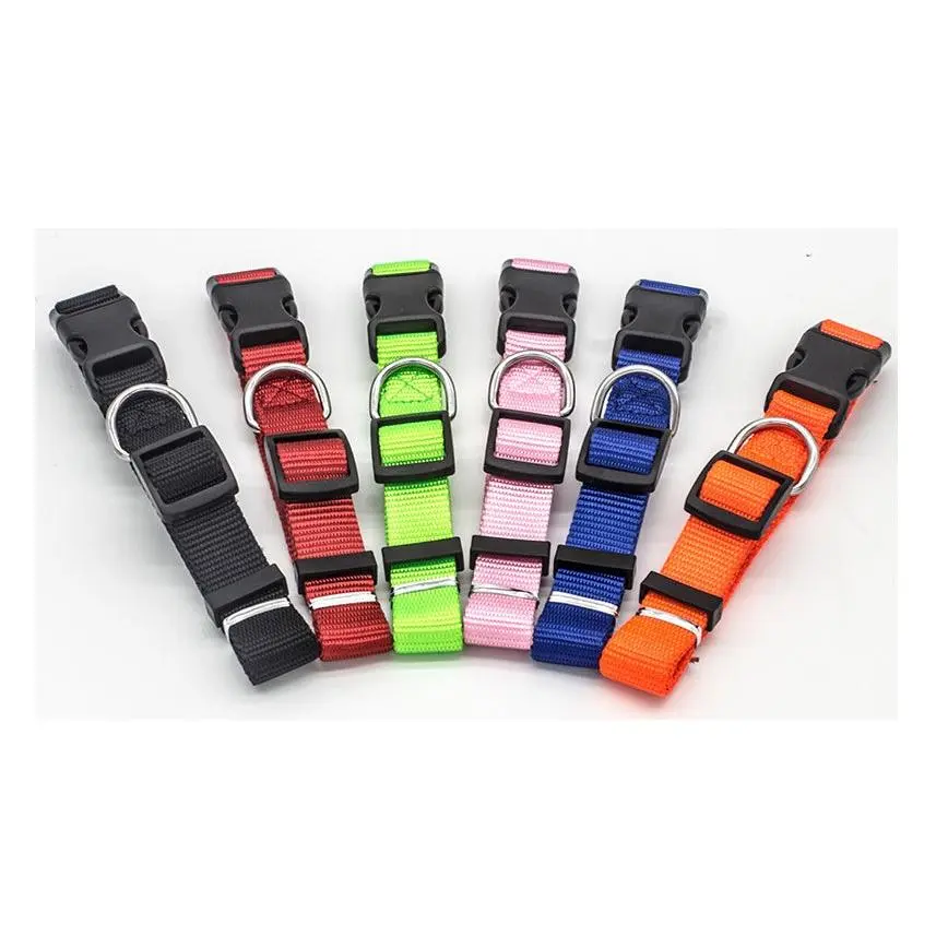 Pet Collar