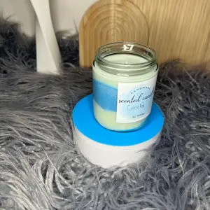 White & Blue cinnamon candle Decor Freshener