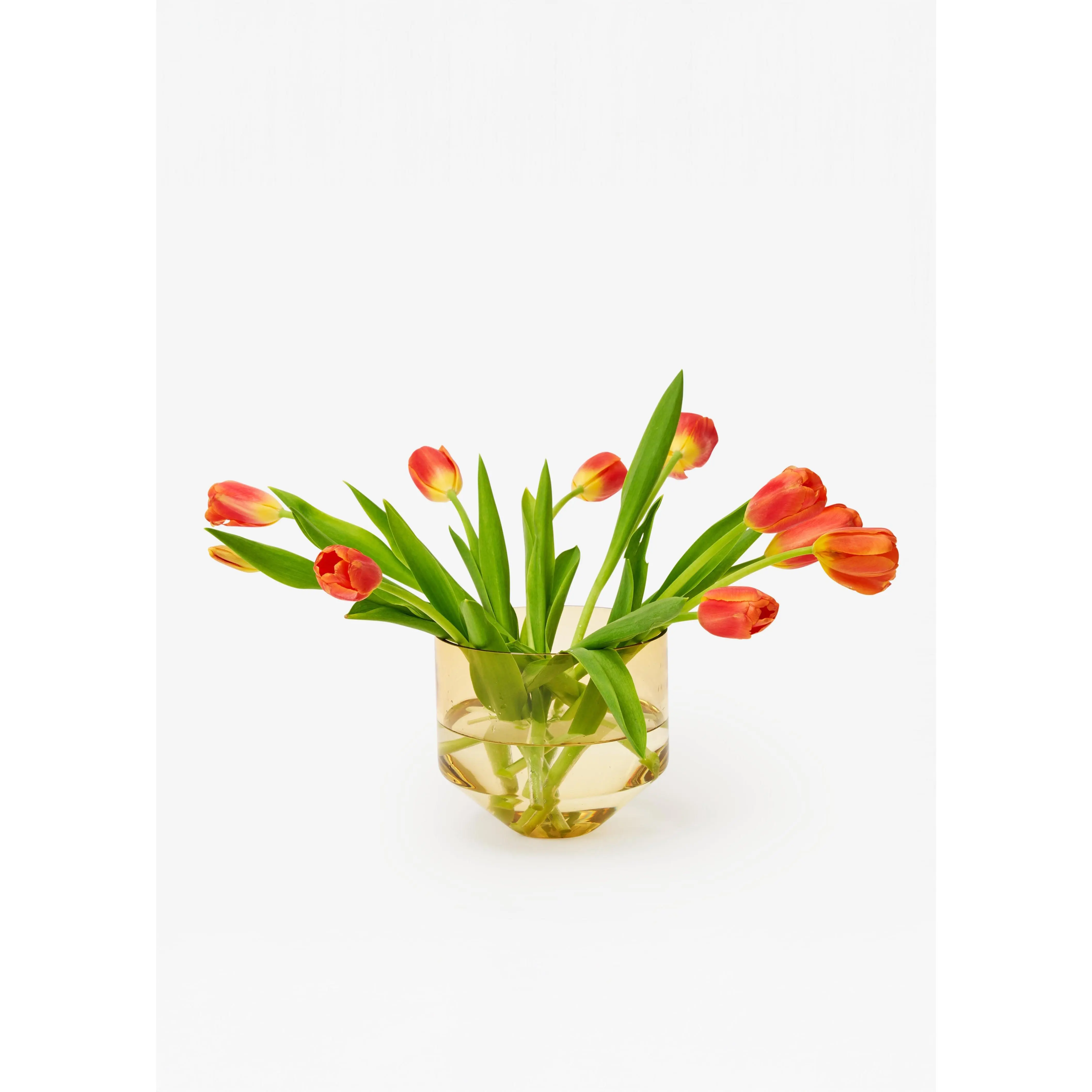 Model Three Planter - Amber