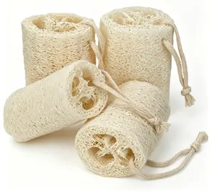 pisdoplop Natural Loofah Exfoliating Body Sponge Scrubber, 4 inch-Long Organic Loofa Luffa Plant-Based for Men & Women Skin Care Bath Shower Cleaning, Natural Sponges for Dishes