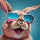 TOPBUNNY