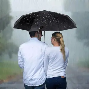 Travel Umbrella Windproof with 46 Inches Large Canopy 10 Reinforced Fiberglass Ribs Ergonomic Handle Auto Open & Close, Black