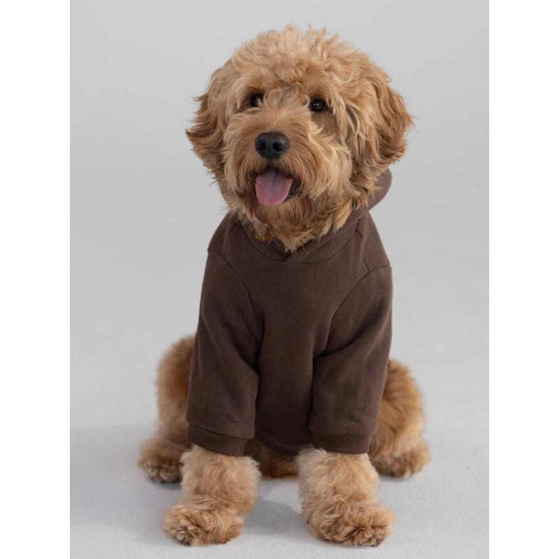 Comfrt | Standard Paw Hoodie