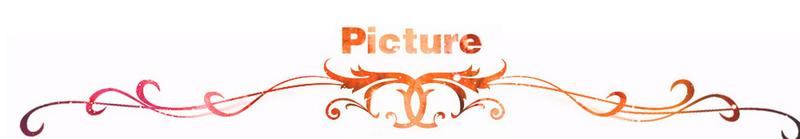 Dandkey 2 3 Button Flip Car Key Case Shell Housing For For Volkswagen for Vw Jetta Golf Polo Passat Beetle for Skoda for Seat B5