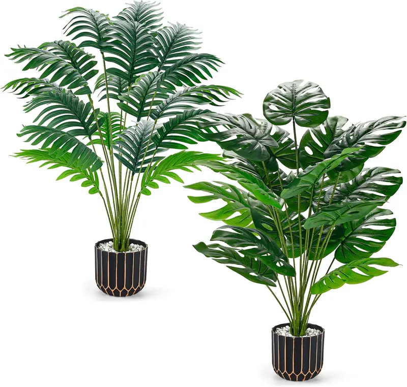 monstera plant bathroom - TikTok Shop
