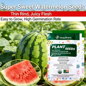 50 watermelon seeds for growing non-GMO heirloom seeds  for Planting Heirloom and Non GMO , Seeded Watermelon, Nutritious, Can be Replanted Every Year, Easy to Grow