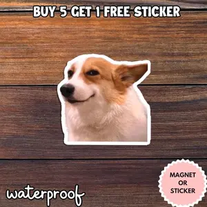 Side Eye Dog Meme Sticker, Smirk Dog Sticker, Funny Sarcastic Dog Meme Magnet, Relatable Reaction Sticker M