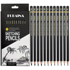 12-Piece Professional Sketch Pencil Set, Graphite Pencils From 12b to 4h for Beginners and Artists, Ideal Drawing Tools for Art Enthusiasts, Art Drawing Supplies
