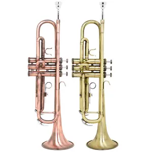 Brass Bb Trumpet, 3 Tone Musical Instrument for Beginners and Professional Players, Musical Instrument for Home & School