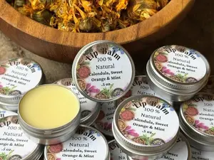 Calendula Lip Balm, Infused Herbal Remedy, Natural Lip Balm Salve, Herbal Lip Balm, Moisturizing Lip Care Mint & Sweet Orange