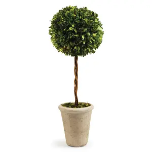 Single Sphere Boxwood Topiary