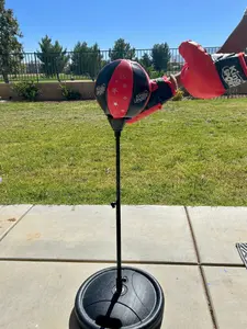 Reflex Bag / Punching Ball Large