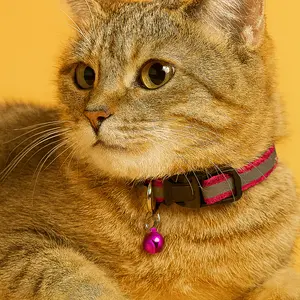MiniGlow Reflective Collar