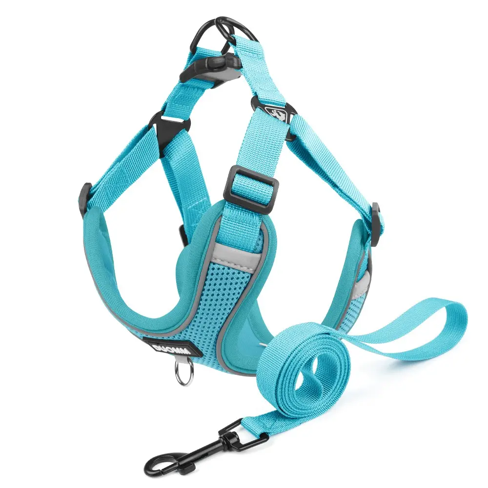 Pet Harness Leash Combo, Harness and Leash Set for Corgi Puppy, French Bulldog Chest Strap, Breathable Dog Vest, Quick Dressing Walking Rope, Outdoor Pet Gear