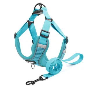 Pet Harness Leash for Corgi Puppy, French Bulldog Chest Strap, Breathable Dog Vest, Quick Dressing Walking Rope, Outdoor Pet Gear