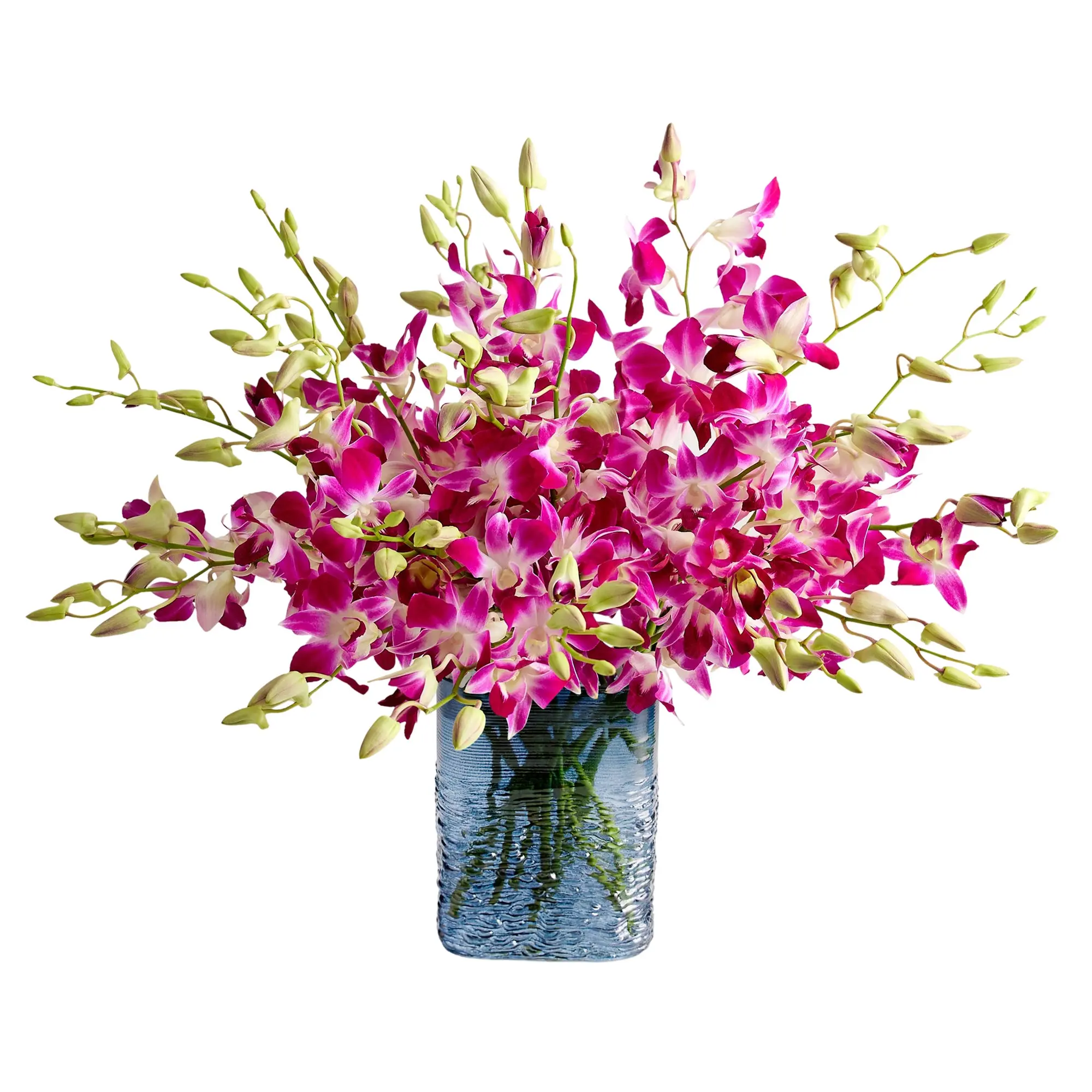 1800 Flowers – 20 Stem Exotic Breeze™ Orchids with Blue Vase