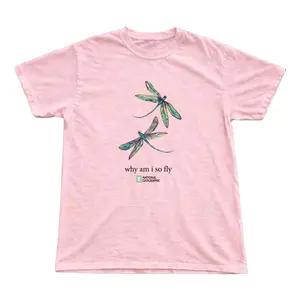Funny "Why Am I So Fly" Dragonfly Graphic Tee, National Geographic Style Pink T-Shirt, Retro Nature Pun Insect Coquette Aesthetic Gildan Top
