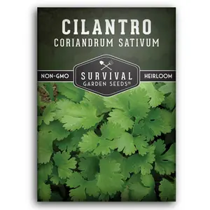 Cilantro Seed - Non-GMO, Survival Garden Seeds, Heirloom Variety, Ideal for Garden Use