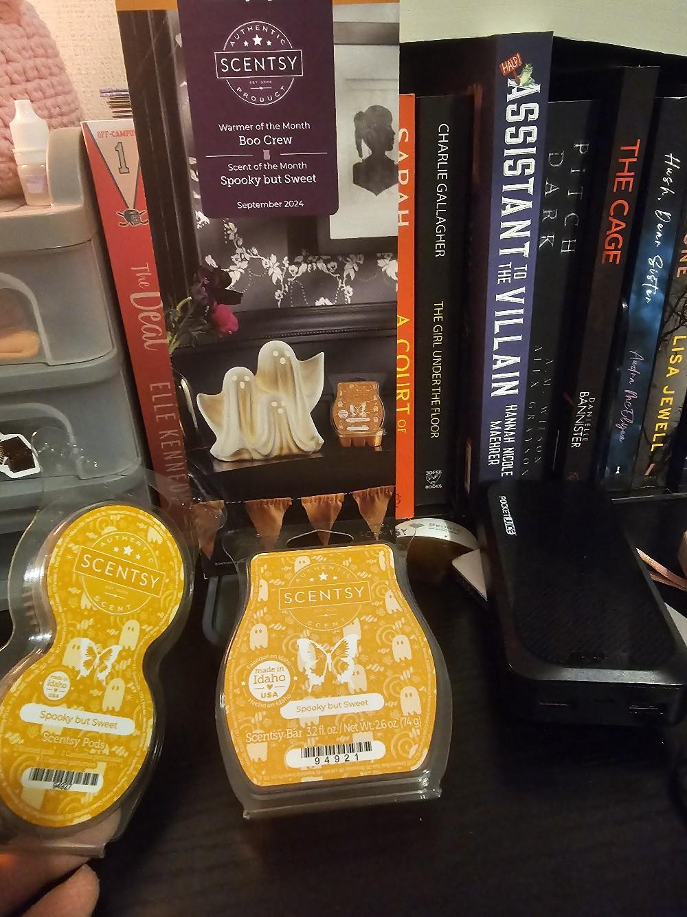 Scentsy Wax Melts for Wax Warmer - House Sprays, Laundry Soap, and More - Candle, Decor